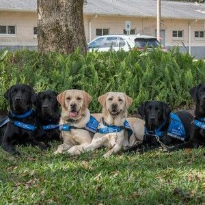 Meet your Posher, Chad